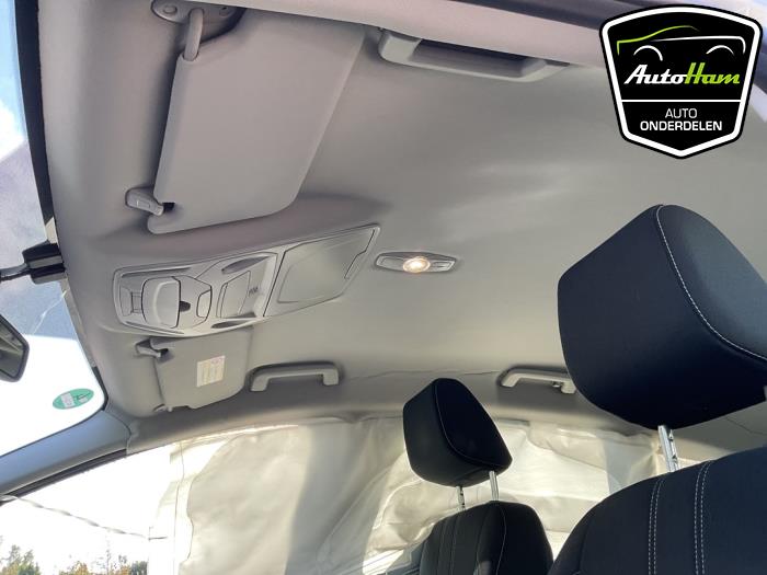 Ford C-Max 1.6 SCTi 16V Sloopvoertuig (2011, Grijs)