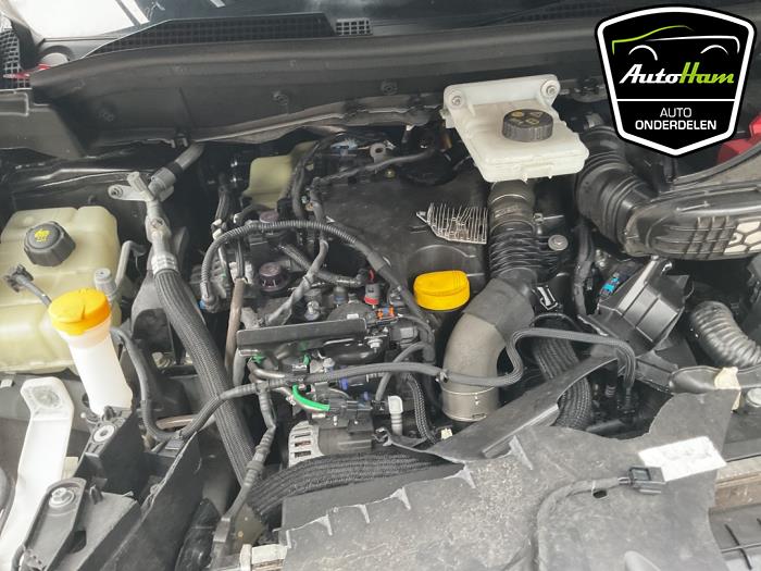 Renault Kangoo Express 1.5 Blue dCi 115 Sloopvoertuig (2024, Zwart)