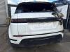 Landrover Range Rover Evoque II 2.0 P250 MHEV 16V AWD Sloopvoertuig (2019, Wit)