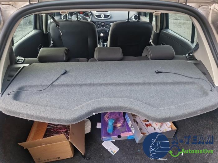 Renault Clio III 1.2 16V 75 Sloopvoertuig (2011, Beige)