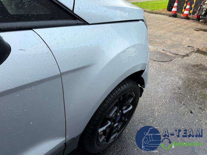 Ford EcoSport 1.0 EcoBoost 12V 125 Sloopvoertuig (2015, Grijs)