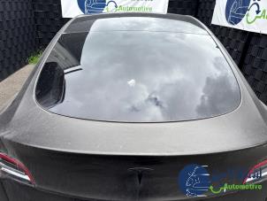 Tesla Model Y Long Range,Performance Sloopvoertuig (2023, Zwart)