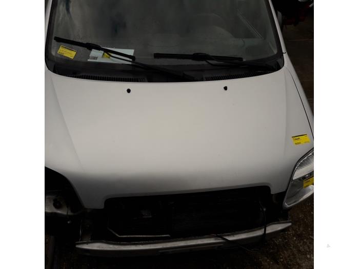 Foto donor auto