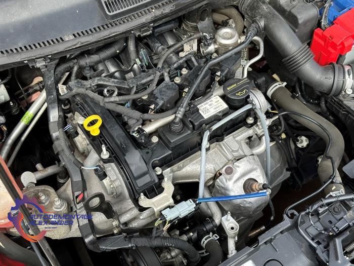 Ford Fiesta 6 1.0 SCI 12V 80 Sloopvoertuig (2015, Rood)