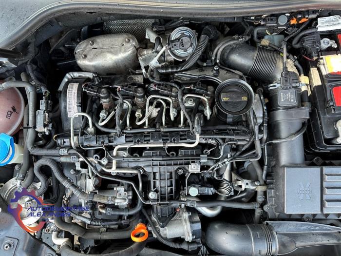 Volkswagen Golf VI 1.6 TDI 16V Sloopvoertuig (2011, Zwart)