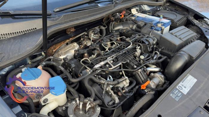 Volkswagen Golf VI 1.6 TDI 16V Sloopvoertuig (2010, Blauw)