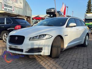 Jaguar XF Sportbrake 2.2 D 16V  (Sloop)