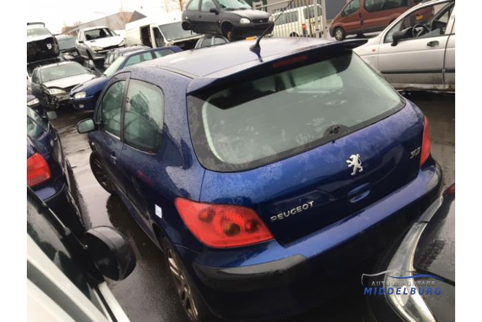 Peugeot 307 1.6 16V Sloopvoertuig (2002, Blauw)