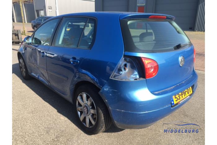 Volkswagen Golf V 1.9 TDI Sloopvoertuig (2004, Blauw)