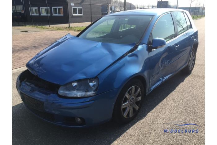 Volkswagen Golf V 1.9 TDI Sloopvoertuig (2004, Blauw)