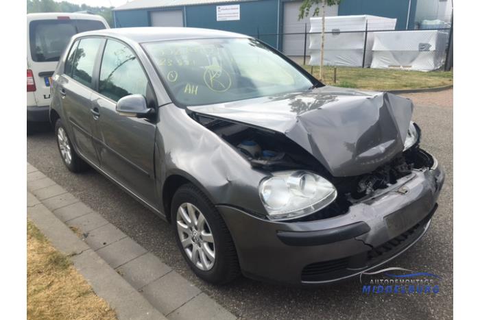 Volkswagen Golf V 1.6 FSI 16V Sloopvoertuig (2007, Grijs)