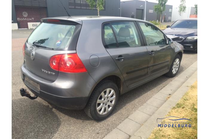 Volkswagen Golf V 1.6 FSI 16V Sloopvoertuig (2007, Grijs)