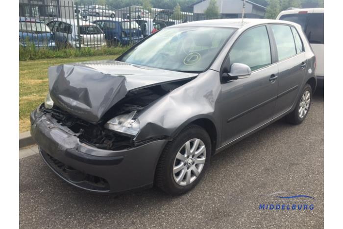 Volkswagen Golf V 1.6 FSI 16V Sloopvoertuig (2007, Grijs)