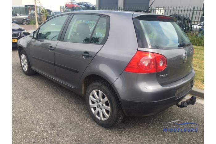 Volkswagen Golf V 1.6 FSI 16V Sloopvoertuig (2007, Grijs)