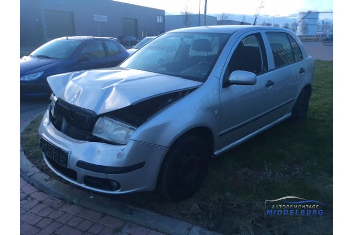 Skoda fabia 6y2