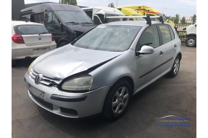 Volkswagen Golf V 1.4 FSI 16V Sloopvoertuig (2004, Grijs)