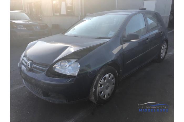 Volkswagen Golf V 1.9 TDI Sloopvoertuig (2008, Blauw)