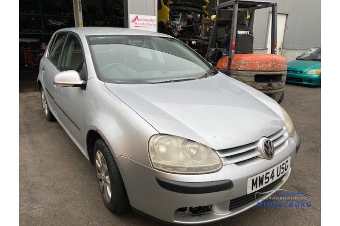 Volkswagen Golf V 1.9 TDI Sloopvoertuig (2005, Grijs)