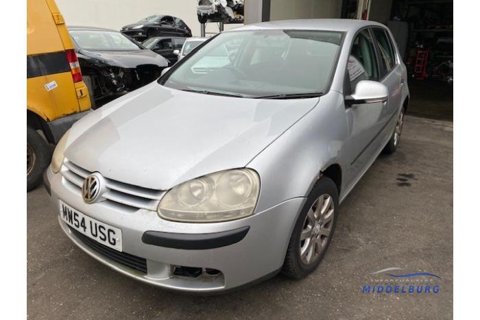 Volkswagen Golf V 1.9 TDI Sloopvoertuig (2005, Grijs)