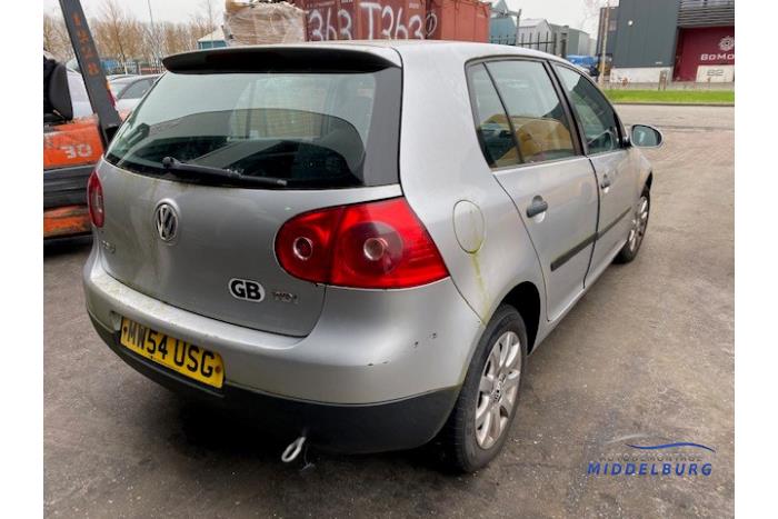 Volkswagen Golf V 1.9 TDI Sloopvoertuig (2005, Grijs)