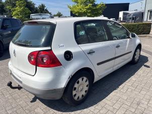 Volkswagen Golf V 2.0 SDI Sloopvoertuig (2005, Wit)