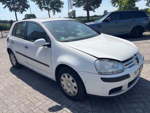 Volkswagen Golf V 2.0 SDI Sloopvoertuig (2005, Wit)