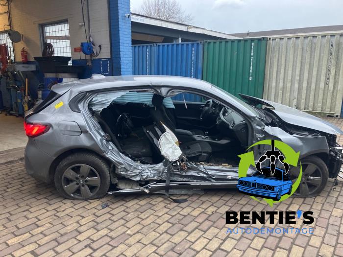 BMW 1 serie 118d 2.0 16V Sloopvoertuig (2024, Grijs)