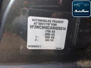 Peugeot 207/207+ 1.6 HDi 16V Sloopvoertuig (2010, Grijs)