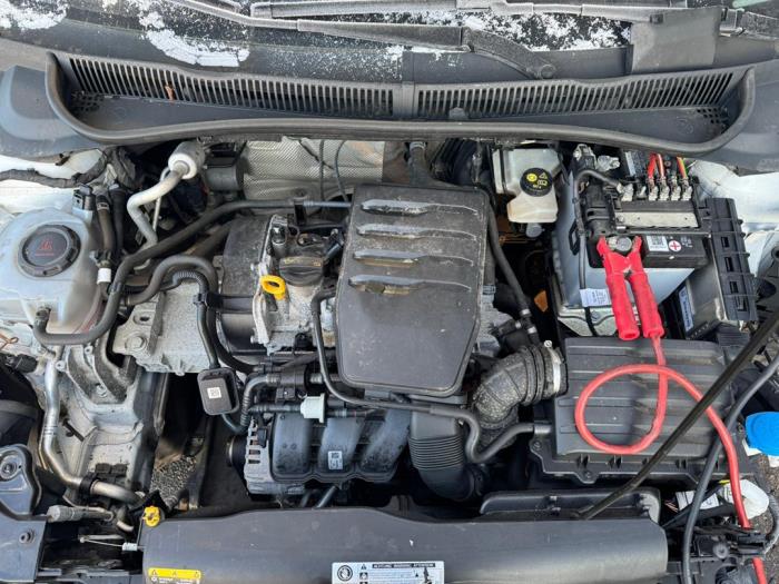 Volkswagen Polo VI 1.0 MPI 12V Sloopvoertuig (2020, Wit)