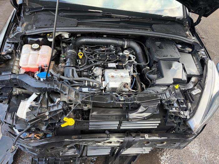 Citroen C4 Cactus 1.2 PureTech 82 12V Sloopvoertuig (2015, Paars)