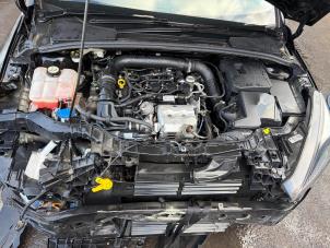 Citroen C4 Cactus 1.2 PureTech 82 12V Sloopvoertuig (2015, Paars)