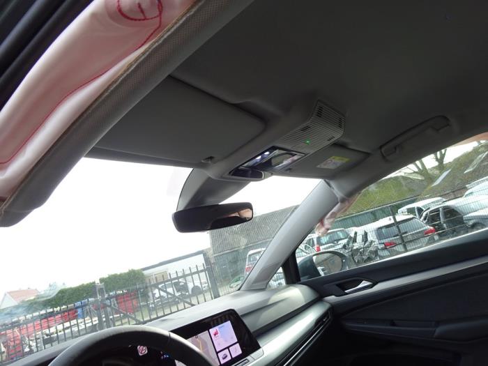 Volkswagen Golf VIII 1.5 TSI 16V Sloopvoertuig (2023, Grijs)