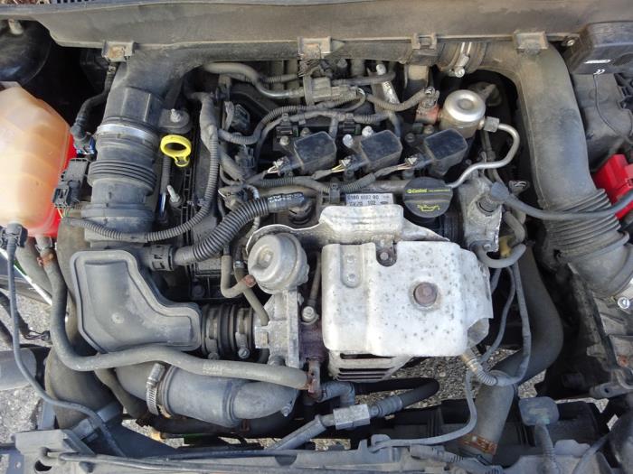 Ford B-Max 1.0 EcoBoost 12V 100 Sloopvoertuig (2014, Zwart)