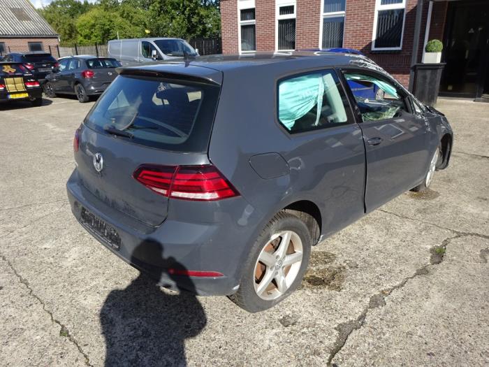 Volkswagen Golf VII 1.6 TDI BMT 16V Sloopvoertuig (2019, Grijs)