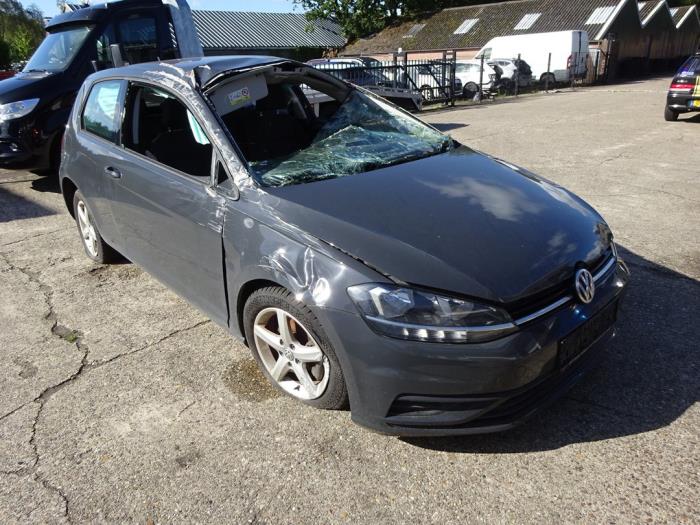 Volkswagen Golf VII 1.6 TDI BMT 16V Sloopvoertuig (2019, Grijs)