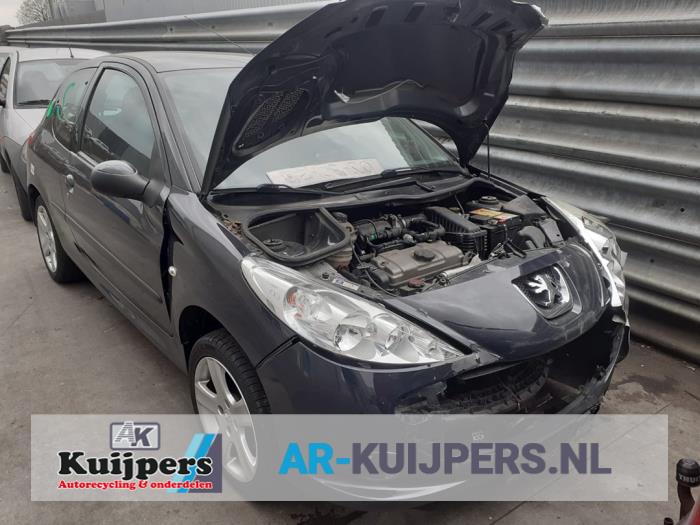Peugeot 206 PLUS