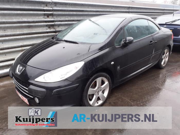 Peugeot 307 01-