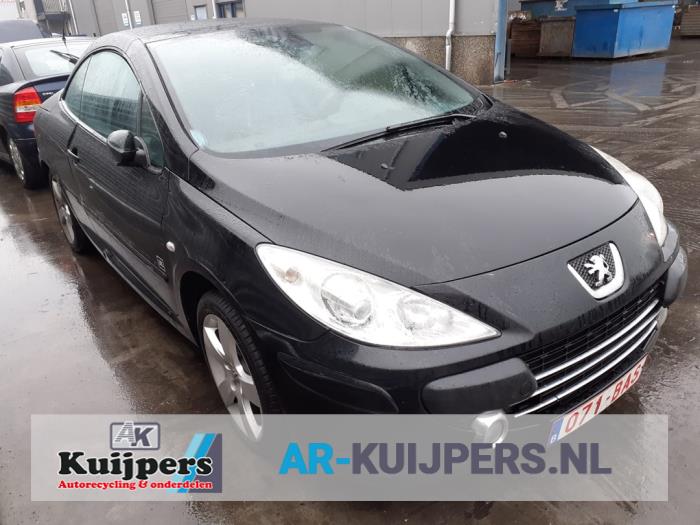 Peugeot 307 01-