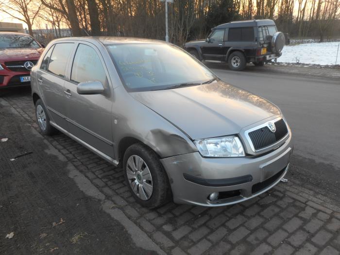 Skoda fabia 6y2