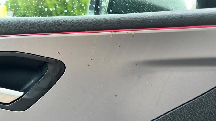 Seat Leon 1.4 TSI e-HYBRID 204 16V Sloopvoertuig (2020, Metallic, Zwart)