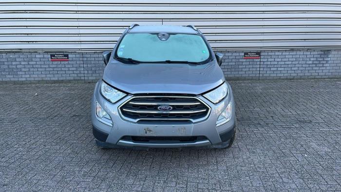 Ford EcoSport 1.0 EcoBoost 12V 125 Sloopvoertuig (2020, Metallic, Zilvergrijs)
