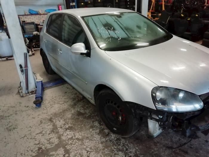 Volkswagen Golf V 2.0 TDI 16V Sloopvoertuig (2004, Grijs)