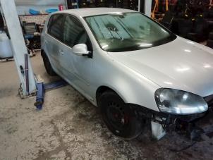 Volkswagen Golf V 2.0 TDI 16V Sloopvoertuig (2004, Grijs)