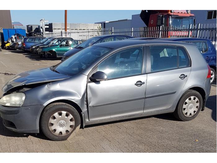 Volkswagen Golf V 1.4 16V Sloopvoertuig (2004, Grijs)