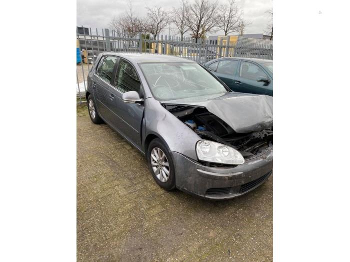Volkswagen Golf V 1.6 FSI 16V Sloopvoertuig (2007, Grijs)