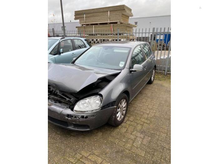 Volkswagen Golf V 1.6 FSI 16V Sloopvoertuig (2007, Grijs)