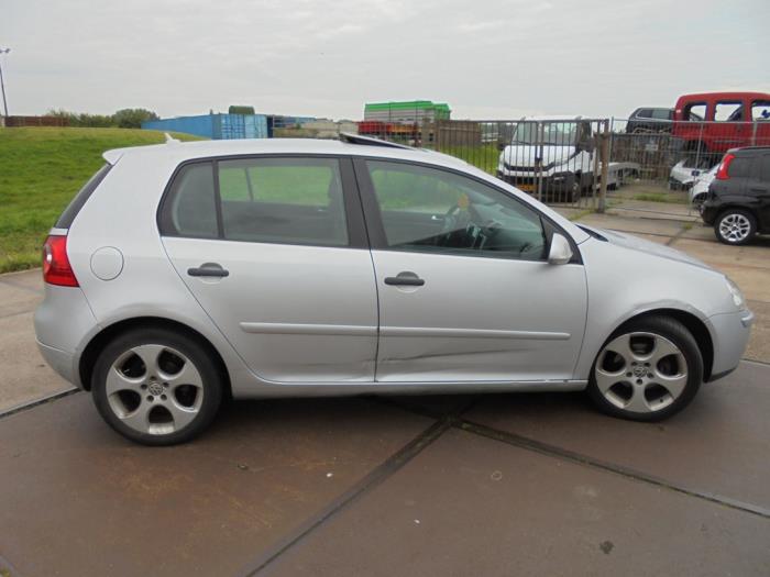 Volkswagen Golf V 1.9 TDI Sloopvoertuig (2006, Grijs)