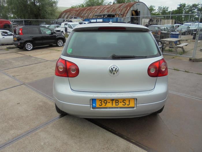 Volkswagen Golf V 1.9 TDI Sloopvoertuig (2006, Grijs)