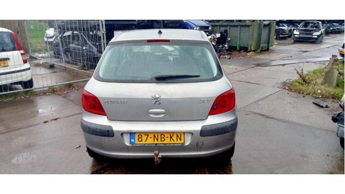 Peugeot 307 2.0 16V Sloopvoertuig (2003, Grijs)