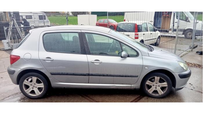 Peugeot 307 2.0 16V Sloopvoertuig (2003, Grijs)